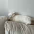 Yumoş'a Ömürlük Bir Yuva Arıyor fotoğraf