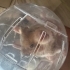 hamster artik bakamadigim icin sahiplendiriyorum fotoğraf