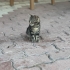 SEVİMLİ KEDİLERE YENİ EV ARIYORUZ fotoğraf