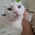 Çok şey yaşadım artık bir evim olsun fotoğraf