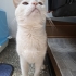 Çok şey yaşadım artık bir evim olsun fotoğraf