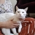 Çok şey yaşadım artık bir evim olsun fotoğraf