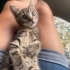 Çok tatlı minik kız acil yuva arıyor fotoğraf