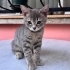 Huyu güzel kendi güzel bir çocuk fotoğraf