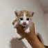 Ben sadece 20 günlüğüm fotoğraf