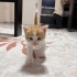 Ben sadece 20 günlüğüm fotoğraf