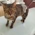 Sokakta yapamaz çok acil yuva fotoğraf