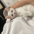 Minik bebeğimize ömürlük yuva arıyoruz fotoğraf
