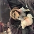 LOKİ YENİ AİLESİNİ ARIYOR fotoğraf