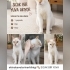 MİŞA'NIN HAYATINA DOKUNMAK İSTERMİSİNİZ? fotoğraf
