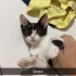 Alacaya yuva arıyoruz 🥺 fotoğraf