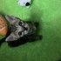 acil!! Annesi reddetti sokağa dönmesin YUVA BULUNMAZSA SOKAĞA DONECEK fotoğraf