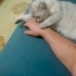 2 yasında kısır fotoğraf