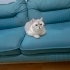 2 yasında kısır fotoğraf