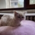 Asalet timsali oğlumuz ailesini arıyor fotoğraf