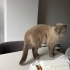 Fır fıra ömürlük bir yuva arıyorum fotoğraf