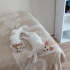 Minik kardeşler fotoğraf