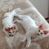 Minik kardeşler fotoğraf