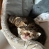 Anneleri terk etti fotoğraf