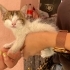 Sevecen kör kedi fotoğraf