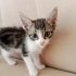 Oyuncu minik için yeni yuva🥳🤩 fotoğraf
