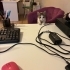 🐱 4 Aylık Kucak Delisi Zeus Erkek Bebek Yuva Arıyor (Mersin) fotoğraf