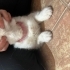 Kızımız Aura’ya yuva arıyoruz fotoğraf