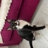 Kobiye kalıcı yuva arıyoruz fotoğraf