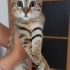 Yavrumuza ömürlük yuva arıyoruz fotoğraf
