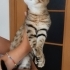 Yavrumuza ömürlük yuva arıyoruz fotoğraf