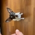 Chihuahua 2 yavrumuzu sahiplendirmek istiyoruz fotoğraf