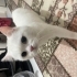 ilgiye sevgiye bayiliyorlarrrrr fotoğraf
