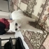 ilgiye sevgiye bayiliyorlarrrrr fotoğraf