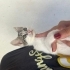 İnsan aşığı yavru kedi yuva arıyor fotoğraf