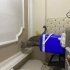 Ücretsiz Sahiplendirme British Shorthair fotoğraf