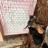 14 yavrumuz yuva bekliyor fotoğraf