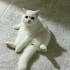 Guzel Prensese yeni bir aile fotoğraf