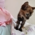 Şanslı Bebek Yuvasını Arıyor fotoğraf