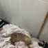 sokağa terk edilmiş sevimli kedi fotoğraf