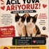 Anneleri öldü acil yuva arıyorum fotoğraf