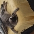 CEKU YA SEVGİ DOLU YENİ BİR YUVA ARIYORUM fotoğraf