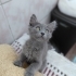 Ruhi bebege yuva fotoğraf