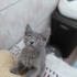 Ruhi bebege yuva fotoğraf
