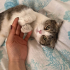 AÇIKLAMAYI OKUYUNUZ LÜTFEN fotoğraf
