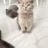 Yumaklara yuvaaa fotoğraf