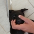 2 aylık yavru köpek yeni evini arıyor !ACİLL!! fotoğraf