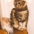Sevgi arsızı oyun delisi bir kucak bebeği fotoğraf