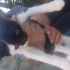 Acil sahiplendirme fotoğraf