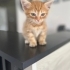 45 GÜNLÜK SARI ŞEKER SİZİN OLSUN MU? fotoğraf