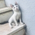 Çocuklar yıkamaya çalışıyordu fotoğraf